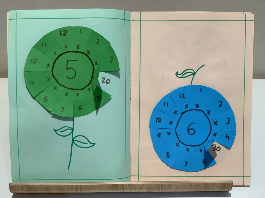 Mathematics in Mayoor Private School