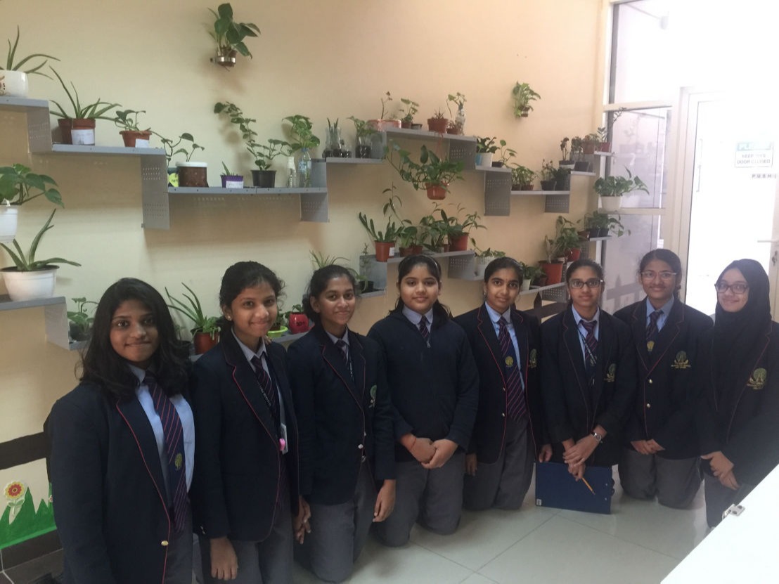 Virtical garden of mayoor school